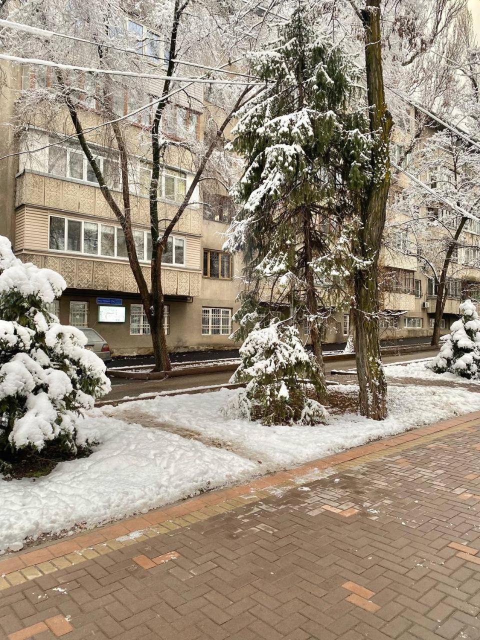 Alma-Ata Hostel Εξωτερικό φωτογραφία